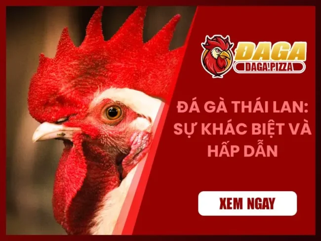 Đá gà Thái Lan: Sự khác biệt và hấp dẫn về văn hóa dân gian của đất nước