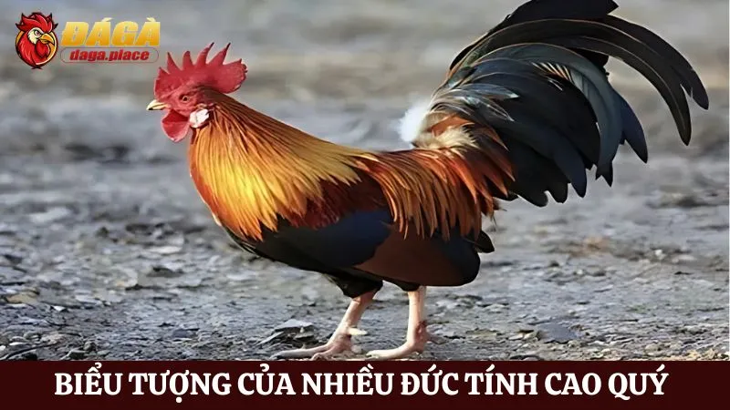 Đá gà và văn hóa dân gian Việt Nam là gì