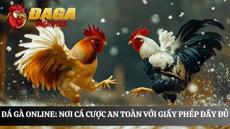 chứng nhận Đá gà online: Nơi cá cược an toàn